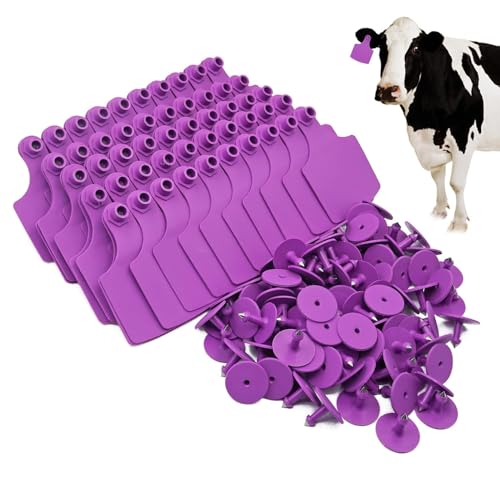 4.1” L×3.5”W Livestock Ear Tags Big Blank 100PCS Identification TPU Precision Tags for Cattle Cows Pigs Hog Goats Sheep Calf Animal (Purple) - color: 1-purple
