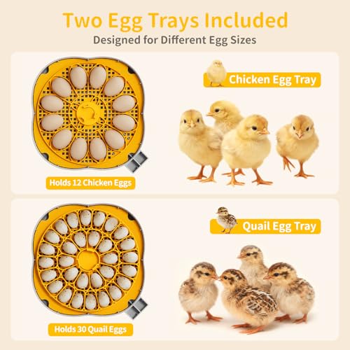 Chicken & Quail Egg Incubator, 12 Egg Incubators for Hatching Eggs, Two Egg Trays, Automatic Egg Turning with Auto Stop, Incubation Day & Period, Auto Refill, Egg Candler, Air Vent, 360° Clear View - size: 12 Eggs + 30 Quail Eggs