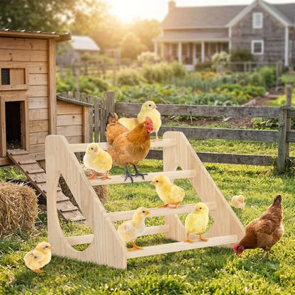 Anti-Rotation Chick Perch, Fir Wood Chicken Roosting Bar for Brooder, Heavy Duty Training Stand for Baby Chicks & Poultry, Easy to Assemble Coop Accessories