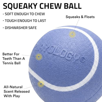 Playology Dog Toys | Squeaky Chew Ball for Large Dogs | Blueberry Scented Jumbo Dog Ball | Bouncy Floating Chew Toys for Fetch - size: Jumbo, style: Blueberry