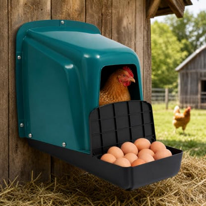 Chicken Laying Boxes, 5 Pack Roll Away Chicken Nesting Boxes, Durable Plastic Laying Boxes with Perch, Pull-Out Tray Ventilation for Hen Coops, Backyard Poultry Farms