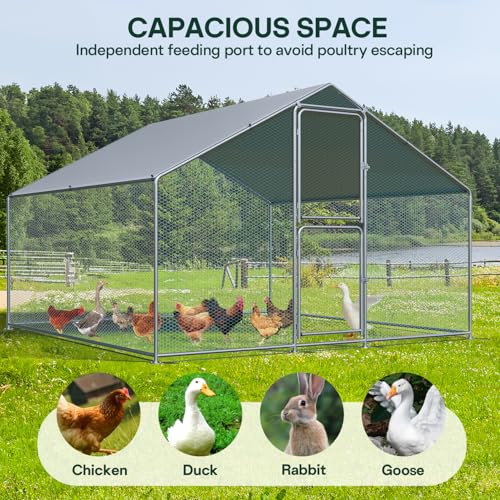 Large Metal Chicken Coop with Run, Waterproof & UV Protected Cover, Holds Up to 30 Chickens. Double Lock Doors, Spire Roof Design, Ideal for Hens, Ducks and Rabbits (13.1 x9.8 x 6.6 FT) - size: 157.0"L x 118.1"W x 78.7"H