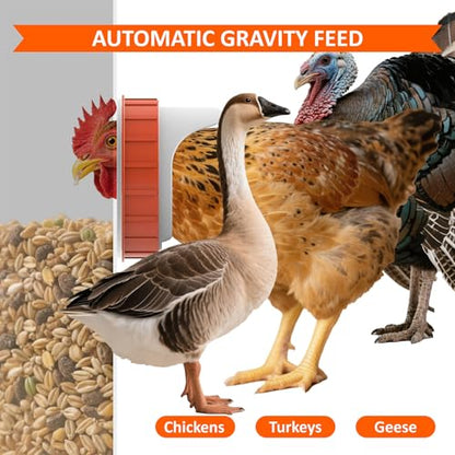 85 lb Automatic Poultry Feeder, 10-Port Feed Box for Chickens | Metal build, Locking lid, Weatherproof design, Rodent-resistant storage, Ducks, Geese, Turkeys, Backyard coop, Farm use
