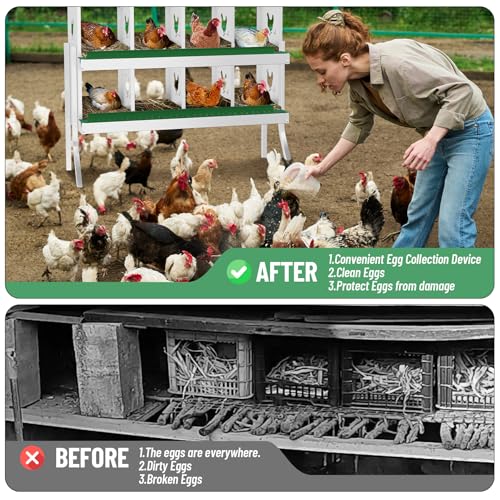 IDEALHOUSE Chicken Nesting Box, Galvanized Steel Laying Box with Rustproof & Roll-Away Egg Design, for Hens, Green 8 Compartment with Bracket - color: Green, size: 8 compartments (with bracket)
