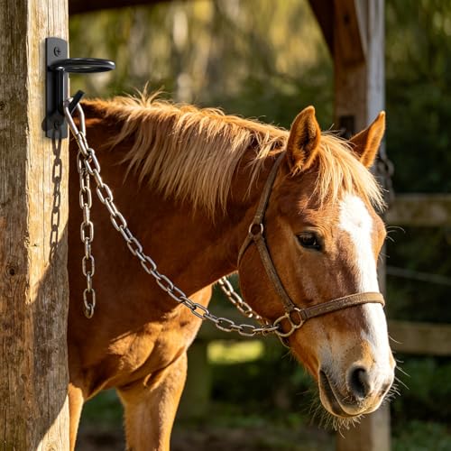 6 Pack Black Metal Bucket Hooks for Horse Stalls, Wall Mount Equestrian Water Feed Bucket Holder Hangers with Installation Screws, Farm Barn Supplies