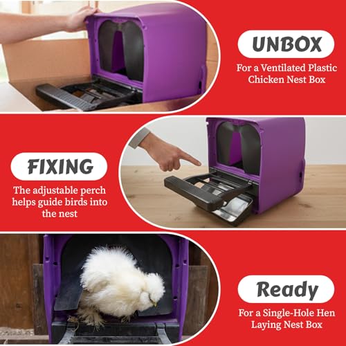 My Favorite Chicken Chick Box Lite Rollaway Nesting Box for Chickens – Single Hole Hen Laying Nest Box with Foldable Perch, Wall Mount, Ventilated Plastic Chicken Nest Box