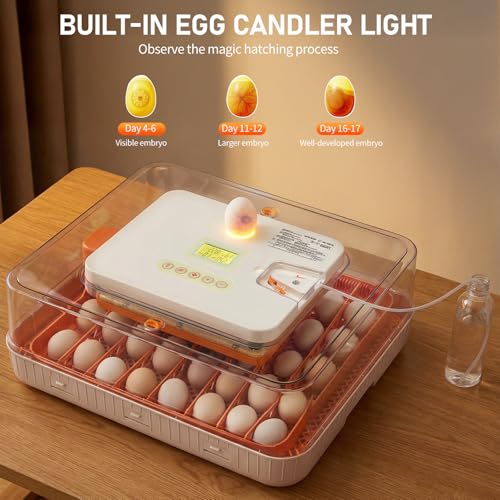 Winado Incubators for Hatching Eggs, 56 Egg Incubator with Automatic Egg Turning, Temperature & Humidity Control, Egg Candler, Automatic Water Filling and Day Counter for Eggs Hatching