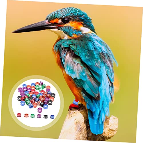 DECHOUS 50Pcs Closed Leg Bands for Parrots and Pigeons Numbered Bird Leg Rings Sturdy Alloy Identification Rings for Small Birds for Poultry and Pigeon Supplies