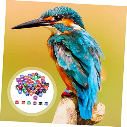 DECHOUS 50Pcs Closed Leg Bands for Parrots and Pigeons Numbered Bird Leg Rings Sturdy Alloy Identification Rings for Small Birds for Poultry and Pigeon Supplies