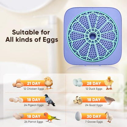 Incubators for Hatching Eggs, 12-24 Egg Digital Incubator with Smart Temperature & Humidity Control, Auto Egg Turner, Egg Candler, Poultry Hatcher for Chicken Eggs, Ducks, Goose, Quail Eggs