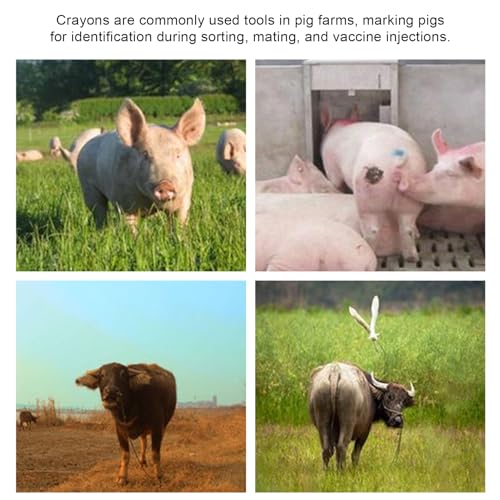 Livestock Marker Crayon, Pig, Cow, Sheep Marker, 10pcs, Blue