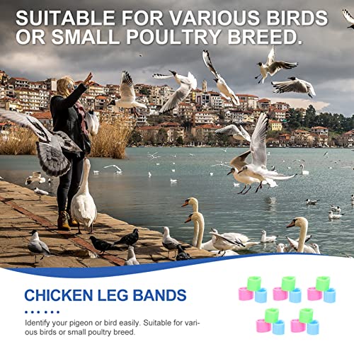 20pcs Colorful Poultry Leg Bands for Homing Pigeons Foot for Easy Identification of Chickens and Birds Lightweight and Sturdy Design