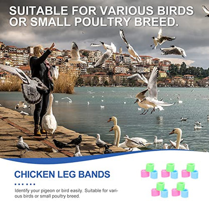 20pcs Colorful Poultry Leg Bands for Homing Pigeons Foot for Easy Identification of Chickens and Birds Lightweight and Sturdy Design