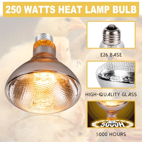 250 Watt Heat Lamp Bulbs for Chickens, PAR38 Clear Glass Brooder Heat Lamp, Infrared Reflector Heat Bulbs for Pets, Bathroom, Food, Light Therapy 2 Pack