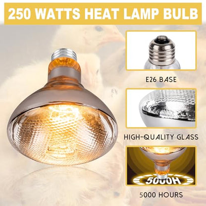 250 Watt Heat Lamp Bulbs for Chickens, PAR38 Clear Glass Brooder Heat Lamp, Infrared Reflector Heat Bulbs for Pets, Bathroom, Food, Light Therapy 2 Pack