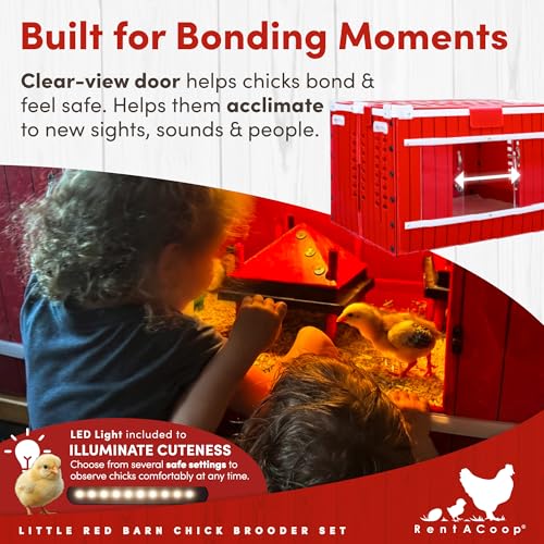 RentACoop Little Red Barn Chick Brooder Set | Durable, Lightweight, Easy-Clean, Multipurpose | with Heating Plate, Feeder, Waterer, Absorbent Hatchling Liners, Jute Liners, LED Light, Security Latch