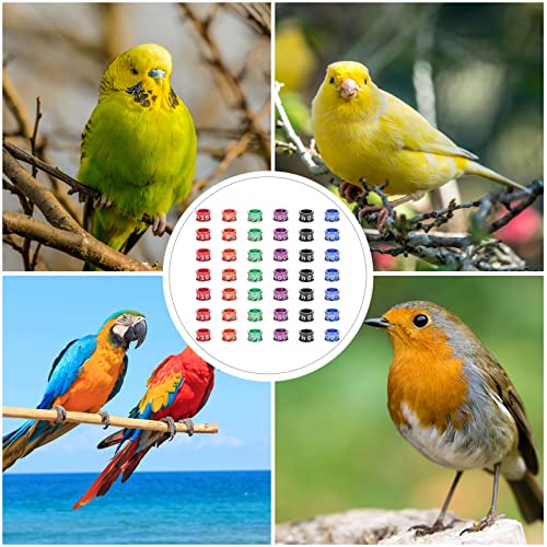 POPETPOP Bird Rings Leg Bands 50pcs Numbered Bird Identification Leg Bands Poultry for Bantam Finch Dove Quail