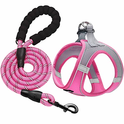 haapaw Dog Harness with Leash Set, No Pull Adjustable Reflective Step-in Puppy Harness with Thickened Padded Vest for Extra-Small/Small Medium Dogs - color: Grey / Pink, size: S