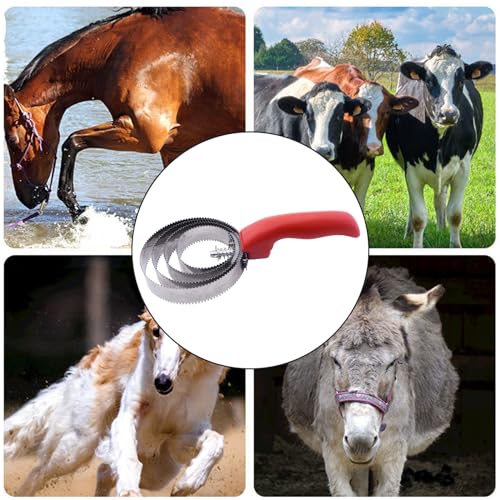 RUIAN Curry Comb Reversible Stainless Steel Curry Comb with Soft Touch Grip Multifunctional Stainless Steel Fine Tooth Pet Horse Grooming, Red