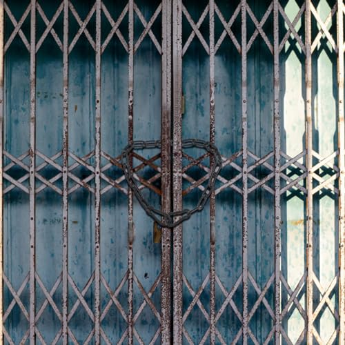 Gate Chain Lock for Outdoor Fence,304 Stainless Steel Gate Chain 20" x 5/32" with Both-Ended M5 Carabiners,Chain Link Latch Lock for Wooden Fence Pet Cages (20" x 5/32", Piece, 1) - size: 20" x 5/32"