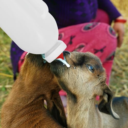 SUPVOX 2 Quart Calf Milk Feeding Bottle - Nursing Nurser with Handle & Rubber Nipple - 2l Long-spout Livestock Supply for Calves, Lambs & Goats - Farm Animal Feeder