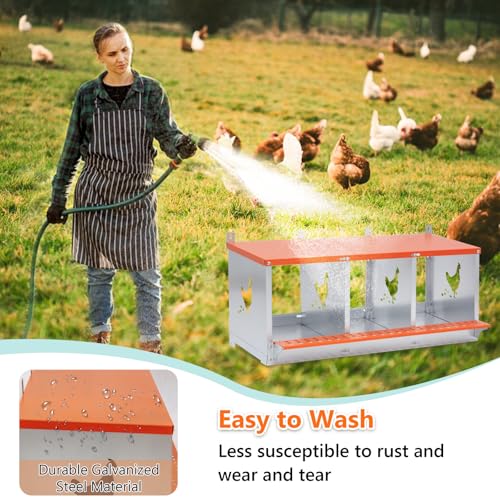 Chicken Nesting Box for Laying Eggs (31.8" L x 17" W x 15" H) | 3 Room Chicken Laying Boxes, Nesting Boxes for Chickens, Heavy Duty Metal Chicken Coop - size: 31.8" L x 17" W x 15" H