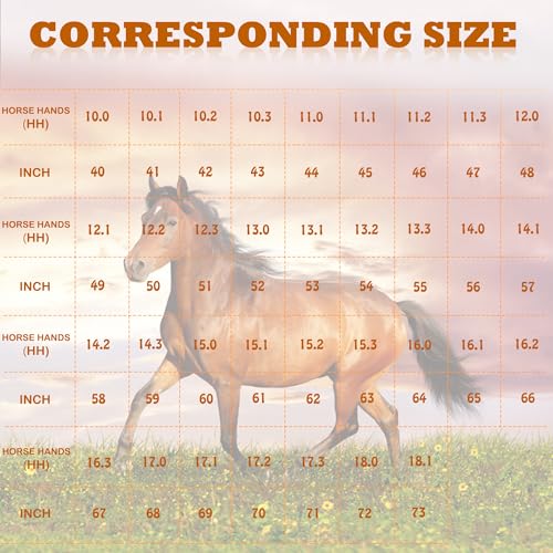 Horse Measuring Stick, Horse Height Pole, Accurately Measure The Height of Horse, Measurable (18 Hands or Less) Horses