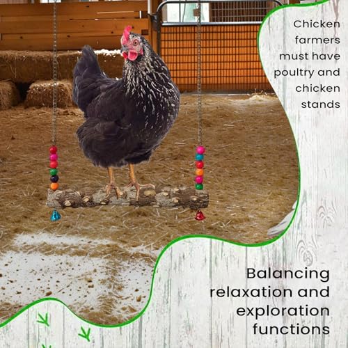 Chicken Swing Toy – Wooden Claw Perch Bridge, Hanging Exercise Ladder, Bell Accessory | Interactive Poultry Play Set, Enrichment Activity Equipment for Coop Cage Use - size: B