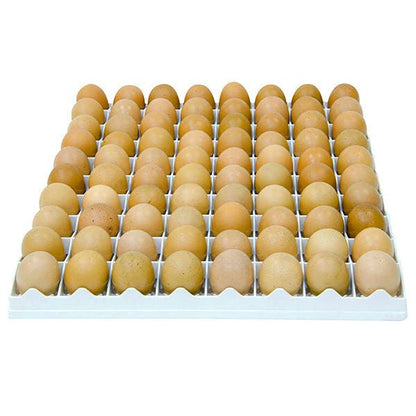Hatching Time Egg Setter Tray (80 Chicken Eggs), Good Fit, Durable, Washable, Easy to Clean, Cimuka, Fits Incubators, ABS Plastic - style: 80 Egg Setter Tray - Chicken