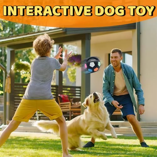 Tough Durable Ball Toy for Aggressive Chewers Ball in Bottle Strong Rubber Football Dog Chew Fetch Toy for Medium Large Breeds - color: Clear