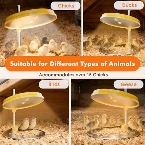 IVJ Chick Brooder Heating Plate with LED Light, 45W Adjustable Temperature Brooder Plate for 15-20 Baby Chicks, Digital Display Heating Plate for Chicks
