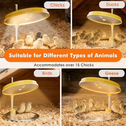 IVJ Chick Brooder Heating Plate with LED Light, 45W Adjustable Temperature Brooder Plate for 15-20 Baby Chicks, Digital Display Heating Plate for Chicks