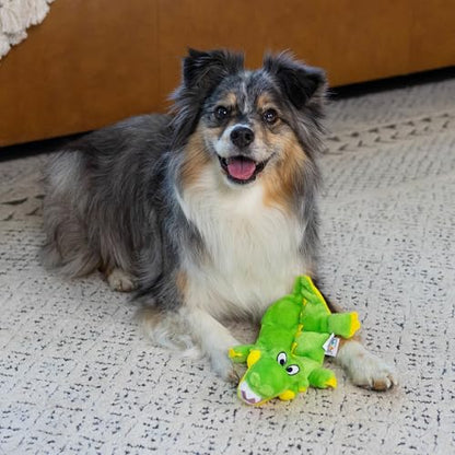 Outward Hound Squeaker Matz Plush Gator Dog Toy, Small - size: Small (Pack of 1)