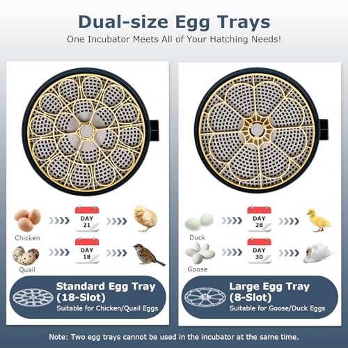 Incubators for Hatching Eggs, 18 Eggs Incubator with Egg Candler, Auto Egg Turner, Temp & Humidity Control, Hatch Day, Auto Water Refill, 2 Size Egg Tray, 360° Viewing for Chicken, Duck, Quail - size: 18 Chicken Eggs