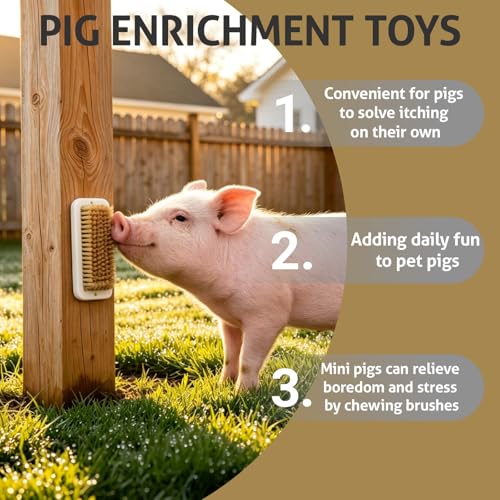 2-Pack Pig Enrichment Scratch Brush – Stress Relief for Pets | Self-grooming tool for mini pet pigs. Helps increase enjoyment. Suitable for pigsties, fences, Wooden Stakes and courtyards