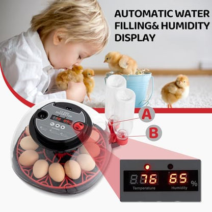 Winado Incubators for Hatching Eggs, 12 Egg Incubator with Auto Water Replenishment & Automatic Egg Turning & Temperature Control, Egg Candler, Duck, and Quail Eggs Hatching