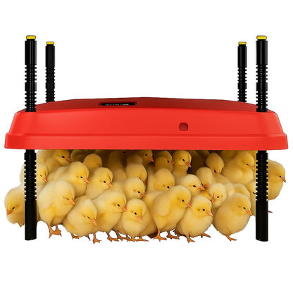 Adjustable 16x16 Brooder Heating Plate for Baby Chicks | Constant Efficient Warmth, Safe Energy-Saving, Easy to Assemble and Clean, Perfect for Chicken Brooding