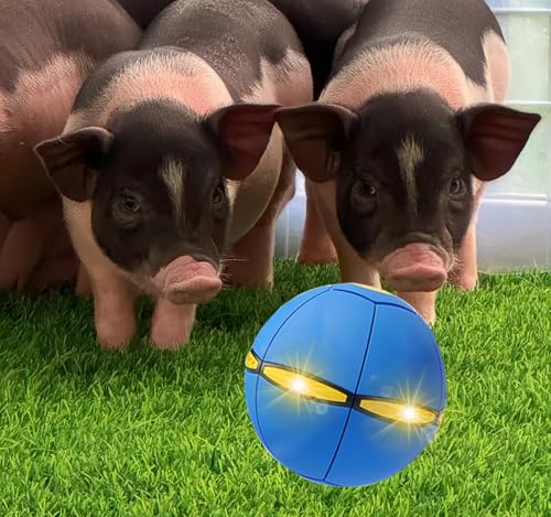 Pig Toy - Toy for Pigs, Interactive Pig Flying Saucer Disc Ball Toys with 6 Lights for Mini Pigs, Enrichment Play for Pet Pigs Supplies Enjoyment and Fun - color: Blue