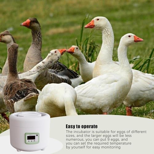 Egg Hatching Incubator,9 Eggs Automatic Incubators and Temperature Humidity Display,Digital for Chicken Quail Duck