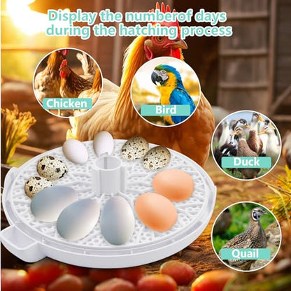 Egg Incubator for Hatching Chicks, Holds 12 Eggs, Automatic Egg Turner with Temperature, Humidity Display, Egg Candler, Automatic Egg Turner, 360 Degree View with Clear Window