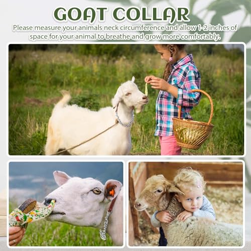Misdary 2 Pcs Goat Show Collars, Adjustable 14"-24" Iron Chain Halter for Sheep, Horses, Dogs, Cows & Calves, Farm Animal Supplies Accessories Animal Lovers Gift (14'',Black,Brown) - color: Black, Brown