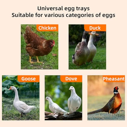 88 Egg Digital Cabinet Incubator，Poultry Hatching Breeding Cabinet Incubator for Auto Egg Turning, Temp/Humidity Control, Thermostatic for Chicken/Duck/Goose/Quail Bird. - size: 88 eggs 145L