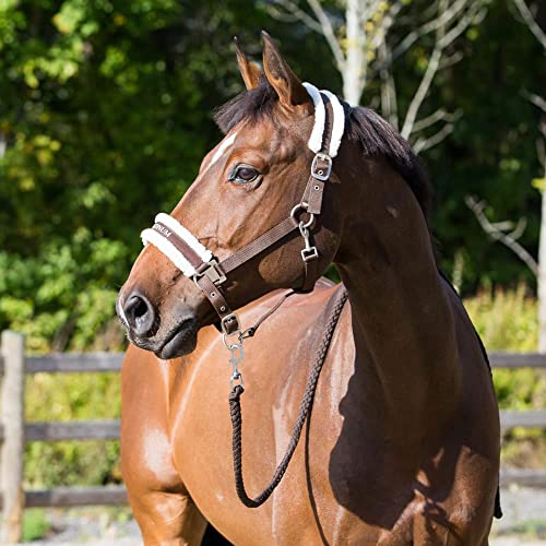 HORZE Howard Padded Fleece Comfortable Adjustable Polyester Horse Halter - Dark Brown - Warmblood - color: Dark Brown, size: Warmblood