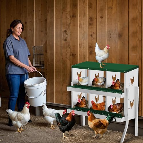 Chicken Nesting Box,6 Holes Galvanized Steel Metal Chicken Laying Box with Automatic Roll-Away Egg Collection System & Removable Tray,Wall Mount Nesting Boxes - color: Green, size: 6 Holes with Legs