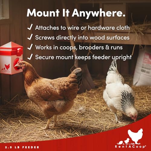 RentACoop Chick2Chicken 2.5lb BPA-Free Single-Port Chicken Feeder - Includes Anti-Roost Lid, Slider Port Cover, and Coop Clip, No-Waste Poultry Feeder Suitable for Quail, Chicks, and Adult Chickens
