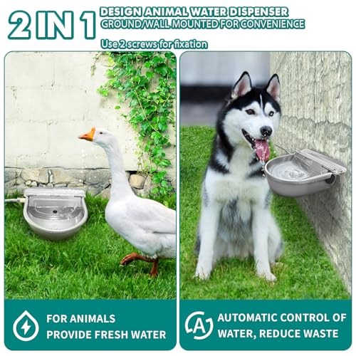 Automatic Water Dispenser for Dogs, 304 Steel Float Valve Pet Water Bowl. | 2.5L Capacity, Wall Mounted, for Large Dogs, Chickens, Horses, Easy Clean Drain, Anti-Spill Valve, Outdoor Farm & Yard