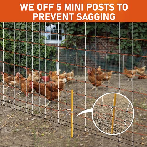 Poultry Electric Netting Fence - 41.3''H (can be Manually Raised to 53.1''H) x 65.6'L for Flying Chicken, Sheep, Goats in Farms, Ranches and Gardens, PK2 - style: (41.3 to 53.1)" x 65.6' - PK2