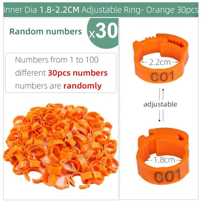 Chicken Leg Bands 240 Pcs Numbered Poultry Chicken Leg Bands Adjustable Foot Label Rings for Home Farm Chicks Bird Duck Goose Identification Clip-on(Orange 30pcs) - color: Orange 30pcs