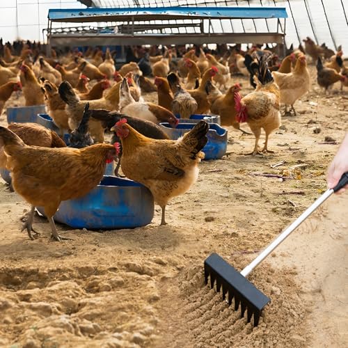 Heavy Duty 3-in-1 Stainless Steel Chicken Poop Scooper with Adjustable Handle – Litter Scoop, Rake & Shovel for Chicken Coops, Sand, Cat Litter, Poultry Habitat Maintenance