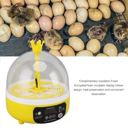 7W Egg Incubator, 4 Egg Poultry Incubator with Manual Temperature Control Egg Turner Egg Candler Egg Turning Humidity Control (Manual Turning) - size: Manual Turning